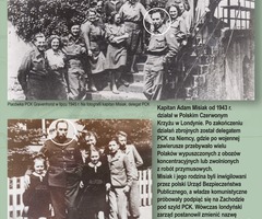 Plansza VIII (photo)