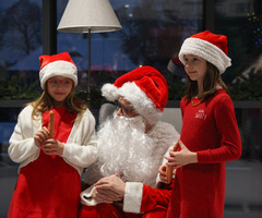  (photo)