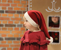  (photo)
