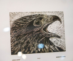  (photo)