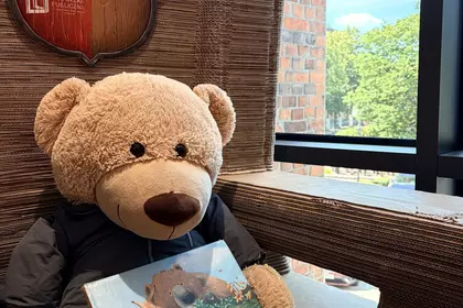 Miś z książką „Lato Pana Misia” siedzi w kartonowym zamku w bibliotece.